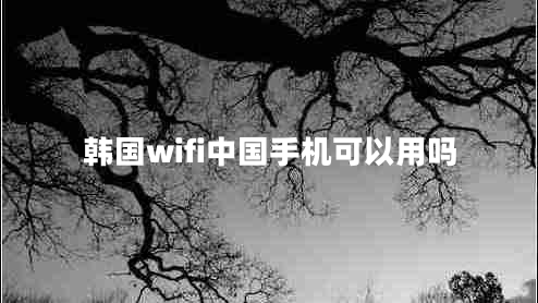 韓國wifi中國手機(jī)可以用嗎 韓國wifi中國手機(jī)可以用嗎