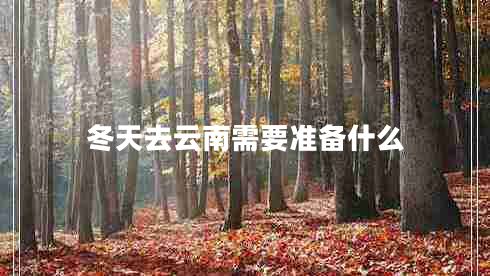 冬天去云南需要準(zhǔn)備什么