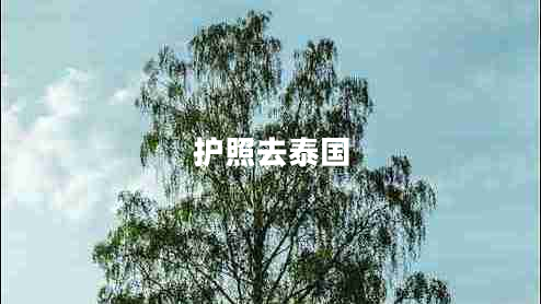 護(hù)照去泰國(guó) 護(hù)照去泰國(guó)