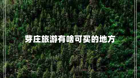 芽莊旅游有啥可買的地方 芽莊旅游有啥可買的地方