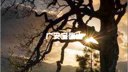 廣安寶鼎山 廣安寶鼎山
