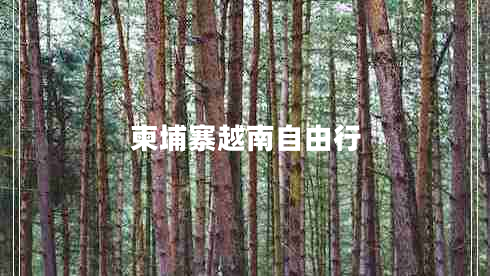 柬埔寨越南自由行 柬埔寨越南自由行