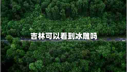 吉林可以看到冰雕嗎 吉林可以看到冰雕嗎