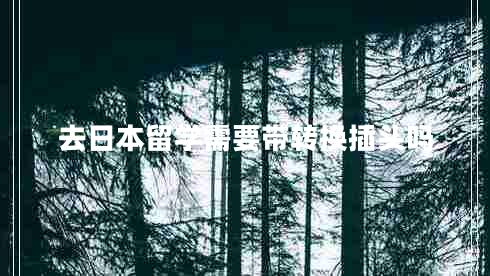 去日本留學(xué)需要帶轉(zhuǎn)換插頭嗎 去日本留學(xué)需要帶轉(zhuǎn)換插頭嗎