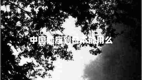 中國插座到日本能用么