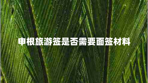申根旅游簽是否需要面簽材料