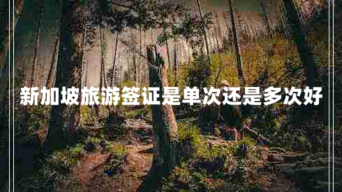 新加坡旅游簽證是單次還是多次好