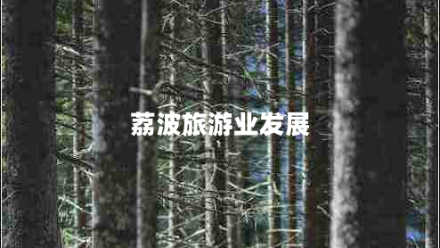 荔波旅游業(yè)發(fā)展 荔波旅游業(yè)發(fā)展