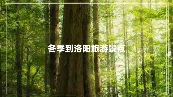 冬季到洛陽旅游景點