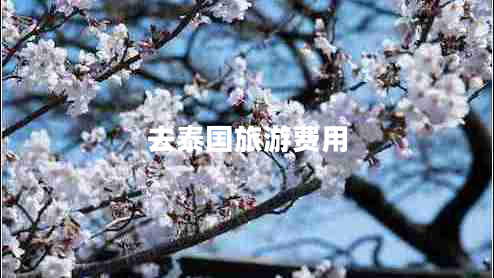 去泰國旅游費用 去泰國旅游費用