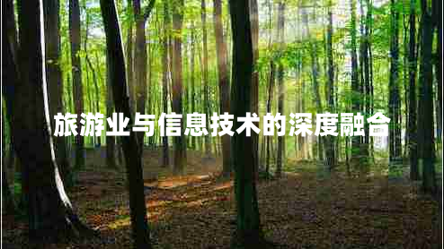旅游業(yè)與信息技術(shù)的深度融合 旅游業(yè)與信息技術(shù)的深度融合