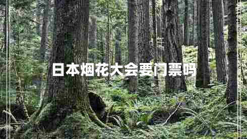 日本煙花大會(huì)要門(mén)票嗎 日本煙花大會(huì)要門(mén)票嗎