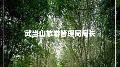 武當山旅游管理局局長 武當山旅游管理局局長