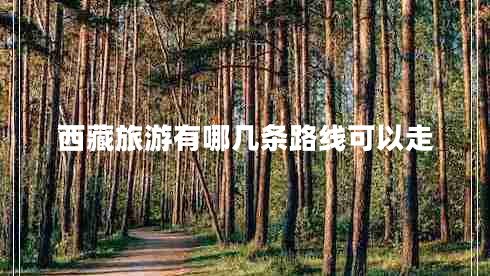 西藏旅游有哪幾條路線可以走