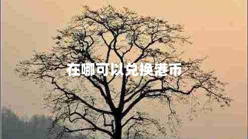 在哪可以兌換港幣