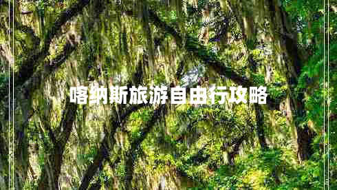 喀納斯旅游自由行攻略