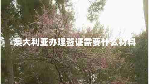 澳大利亞辦理簽證需要什么材料 澳大利亞辦理簽證需要什么材料