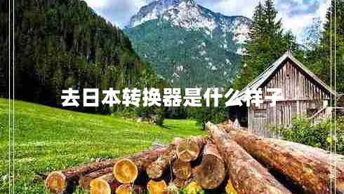 去日本轉(zhuǎn)換器是什么樣子 去日本轉(zhuǎn)換器是什么樣子