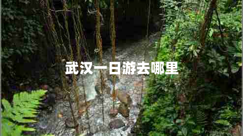 武漢一日游去哪里 武漢一日游去哪里