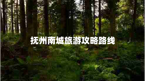 撫州南城旅游攻略路線