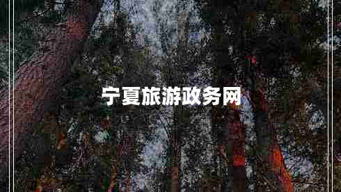 寧夏旅游政務(wù)網(wǎng)