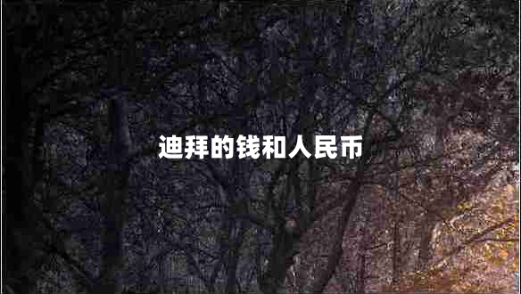迪拜的錢和人民幣 迪拜的錢和人民幣