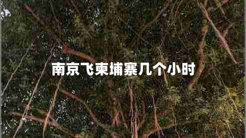 南京飛柬埔寨幾個小時 南京飛柬埔寨幾個小時