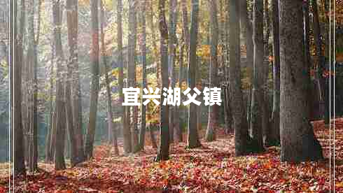 宜興湖父鎮(zhèn)