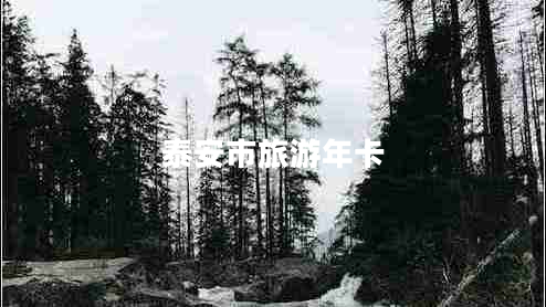 泰安市旅游年卡 泰安市旅游年卡