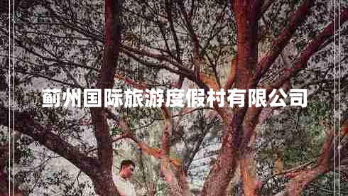 薊州國際旅游度假村有限公司