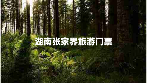 湖南張家界旅游門票 湖南張家界旅游門票