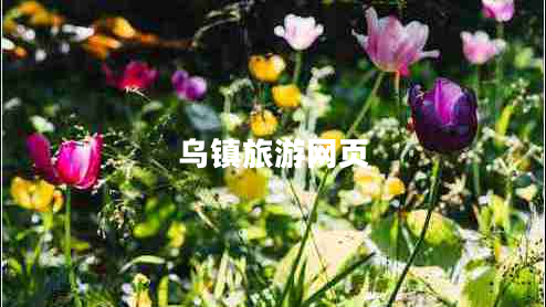 烏鎮(zhèn)旅游網(wǎng)頁(yè) 烏鎮(zhèn)旅游網(wǎng)頁(yè)