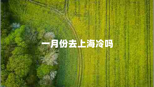 一月份去上海冷嗎 一月份去上海冷嗎