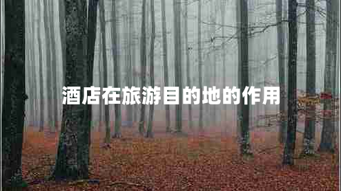 酒店在旅游目的地的作用 酒店在旅游目的地的作用