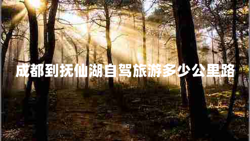 成都到撫仙湖自駕旅游多少公里路 成都到撫仙湖自駕旅游多少公里路