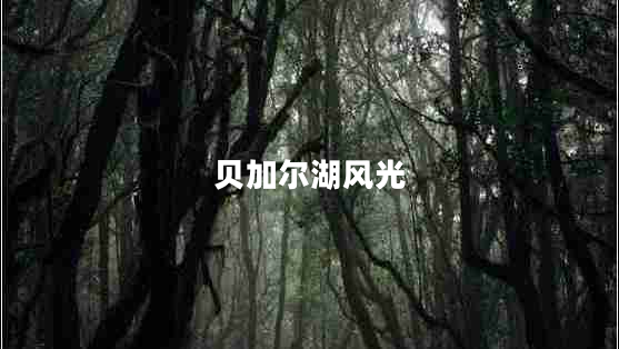 貝加爾湖風(fēng)光 貝加爾湖風(fēng)光