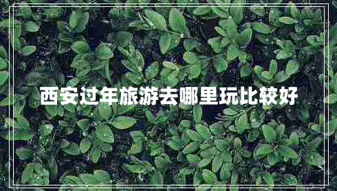 西安過年旅游去哪里玩比較好