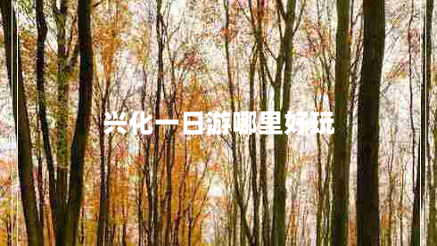 興化一日游哪里好玩 興化一日游哪里好玩