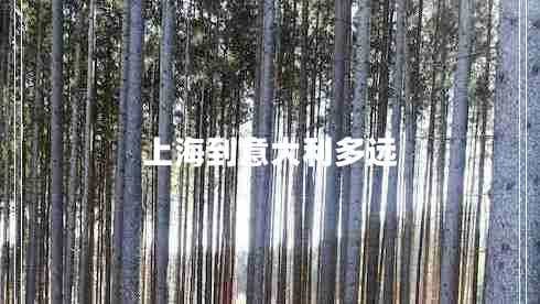 上海到意大利多遠