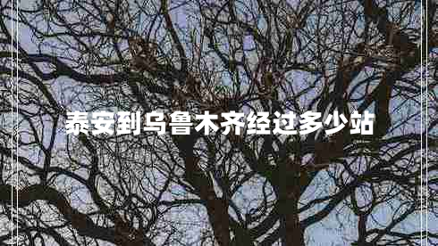 泰安到烏魯木齊經(jīng)過多少站