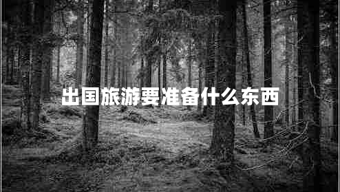出國旅游要準(zhǔn)備什么東西