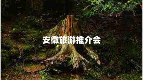 安徽旅游推介會(huì)