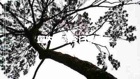 國(guó)內(nèi)旅游冷門景點(diǎn)