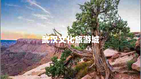 武漢文化旅游城 武漢文化旅游城