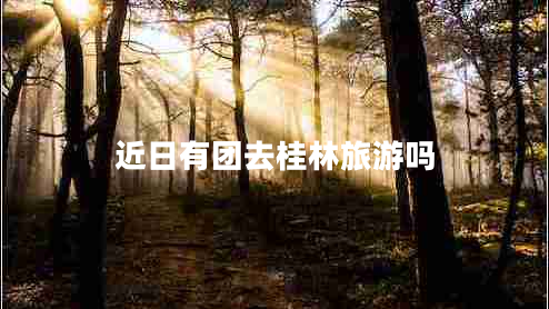 近日有團(tuán)去桂林旅游嗎 近日有團(tuán)去桂林旅游嗎