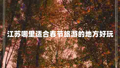 江蘇哪里適合春節(jié)旅游的地方好玩 江蘇哪里適合春節(jié)旅游的地方好玩