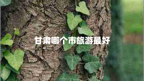 甘肅哪個市旅游最好 甘肅哪個市旅游最好