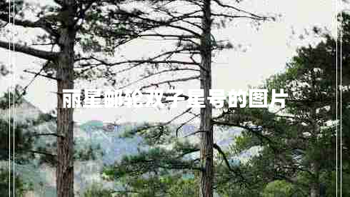 麗星郵輪雙子星號的圖片 麗星郵輪雙子星號的圖片