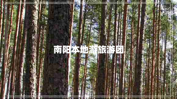 南陽(yáng)本地游旅游團(tuán) 南陽(yáng)本地游旅游團(tuán)