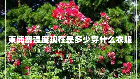 柬埔寨溫度現(xiàn)在是多少穿什么衣服 柬埔寨溫度現(xiàn)在是多少穿什么衣服